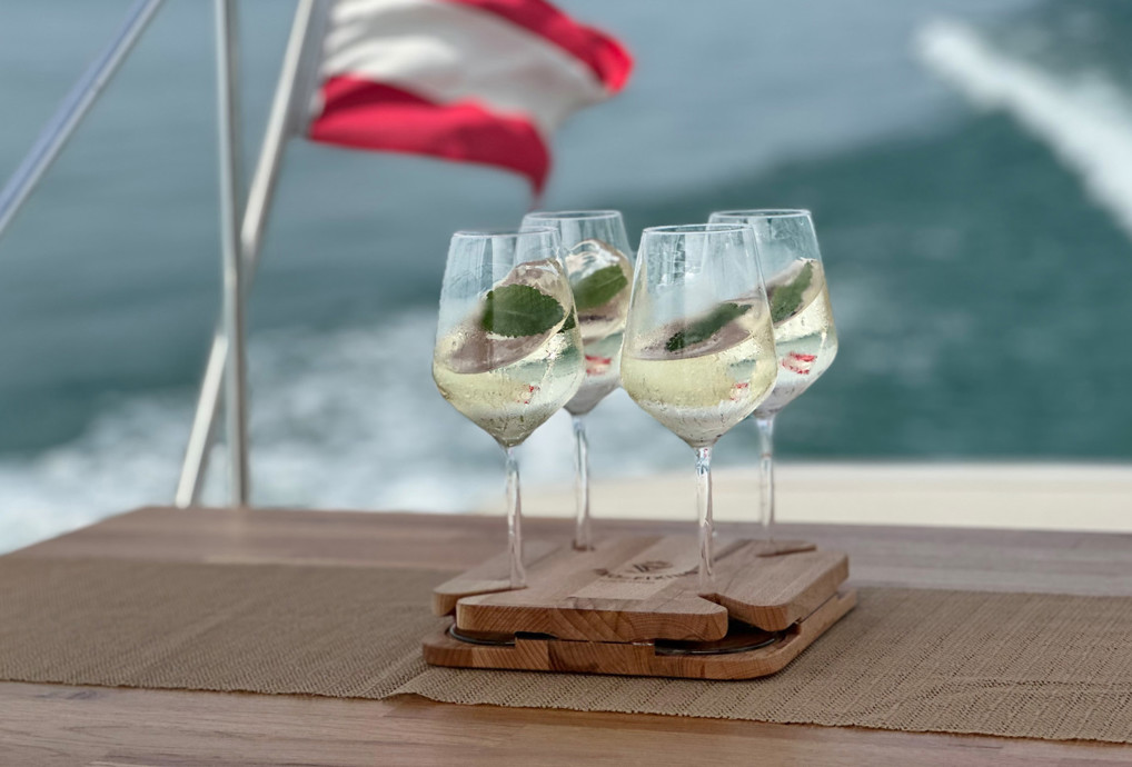 GEWINNSPIEL: Gewinne ein Vino-Fixino Premium Plus!