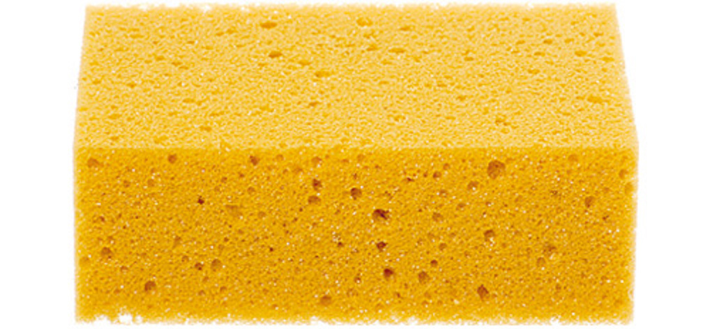Schwamm natur