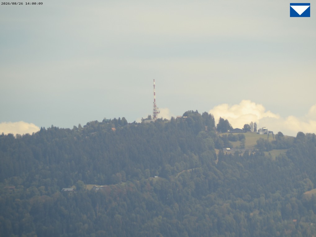 STEINER Image 2026 08 26 14 00 08 2