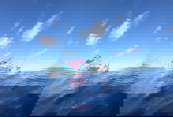 WhatsApp Image 2026-01-14 at 17.59.22.jpeg