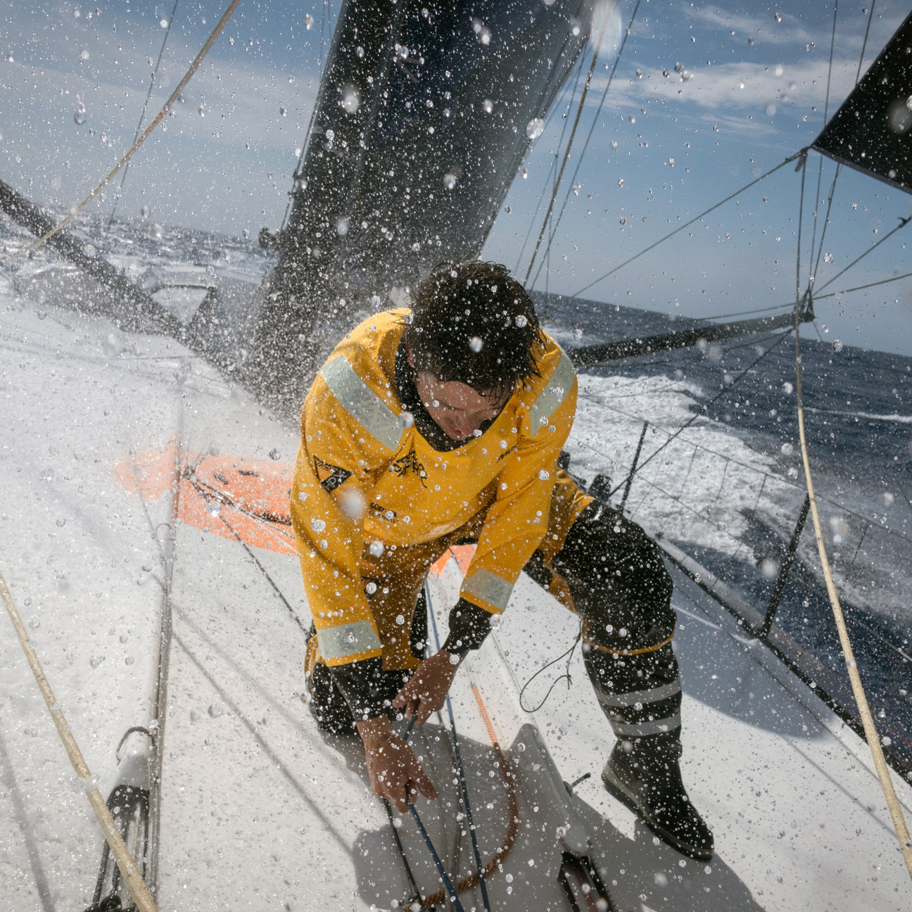 Schoten, Fallen & Trimmleinen.jpg